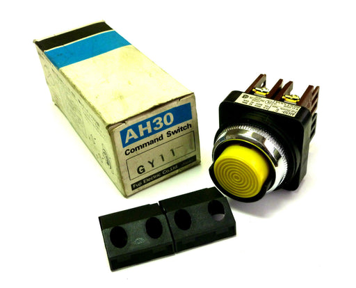 FUJI AH30-GY11 PUSHBUTTON YELLOW AH30GY11 600V AH30-G NIB