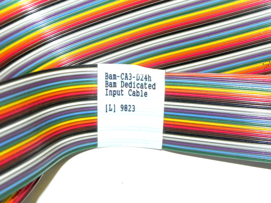 BAM DEDICATED INPUT CABLE 10797F0058 BAM-CA3-D24H USED