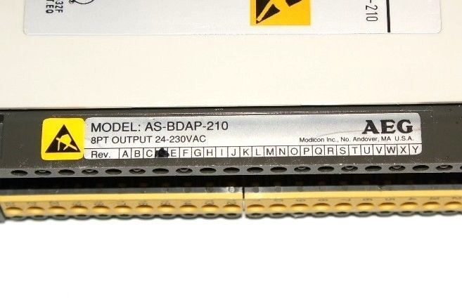 LOT OF 2 GOULD MODICON AS-BDAP-210 ISOLATED OUTPUT MODULES, 8 POINT, 230 VAC