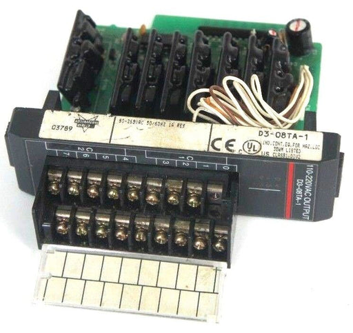 AUTOMATION DIRECT D3-08TA-1 8-POINT 110-220 VAC OUTPUT MODULE D308TA1
