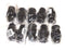 LOT OF 10 NEW DIXON PPF75 VALVE FITTING TYPE F, 3/4" NPT
