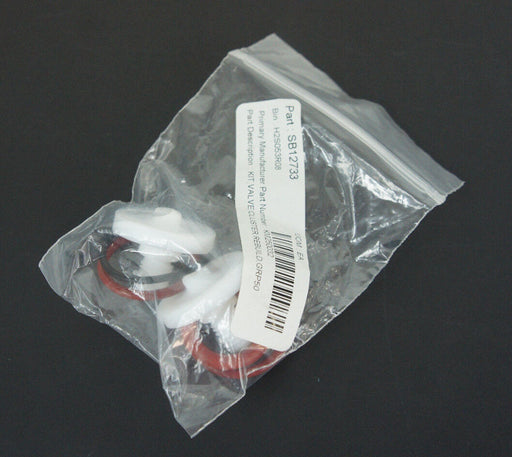 NEW FEDEGARI AUTOCLAVI SPA KM250032 CLUSTER VALVE REBUILD KIT GROUP 50