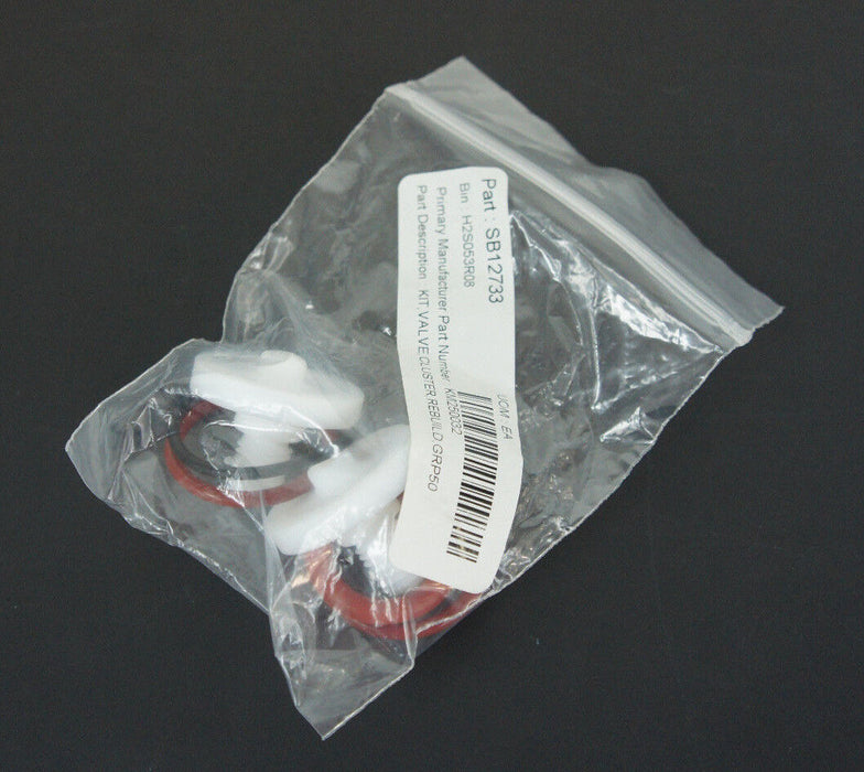 NEW FEDEGARI AUTOCLAVI SPA KM250032 CLUSTER VALVE REBUILD KIT GROUP 50