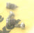 NEW PARKER L074060000 1'' 3L CUSH. KIT