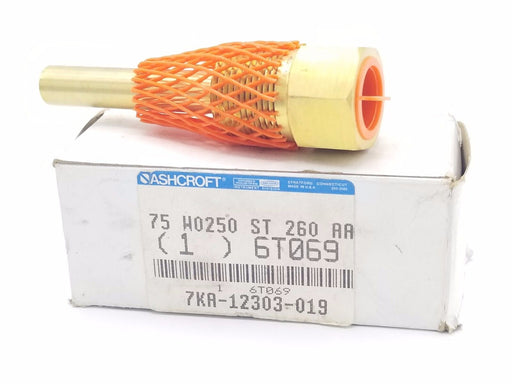 NIB ASHCROFT 6T069 THERMOWELL INDUSTRIAL 12IN NPSM 3/4IN NPT BRASS