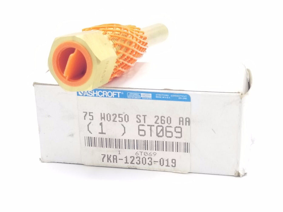 NIB ASHCROFT 6T069 THERMOWELL INDUSTRIAL 12IN NPSM 3/4IN NPT BRASS