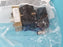 LOT OF 5 NEW ALLEN BRADLEY 800E-2DLT3X11 FULL VOLTAGE MODULES SER. A