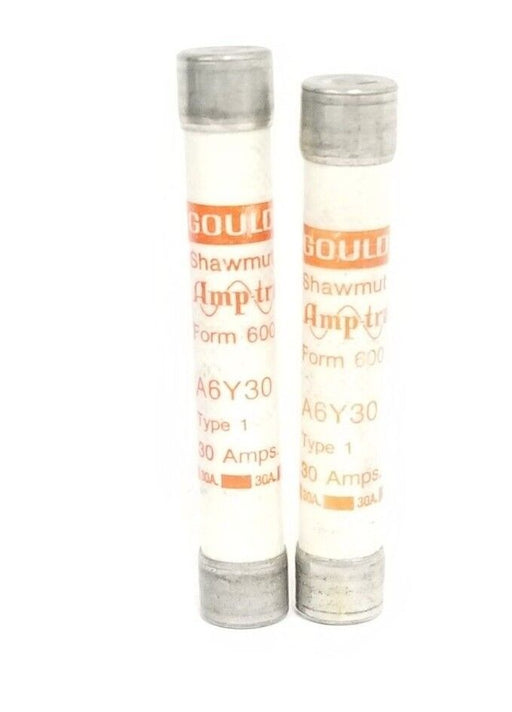 LOT OF 2 GOULD SHAWMUT AMP-TRAP A6Y30 FORM 600 FUSES TYPE 1, 30AMP
