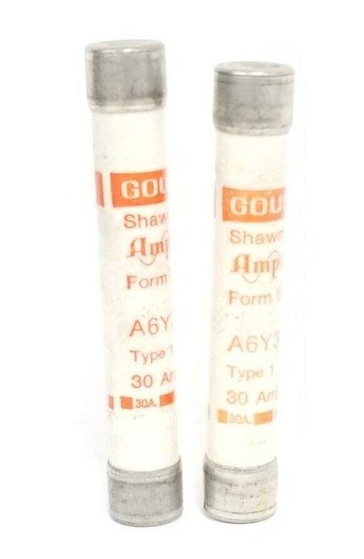 LOT OF 2 GOULD SHAWMUT AMP-TRAP A6Y30 FORM 600 FUSES TYPE 1, 30AMP