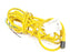 TURCK PKG 3Z-6 CABLE CORDSET U0066-99 PKG3Z6