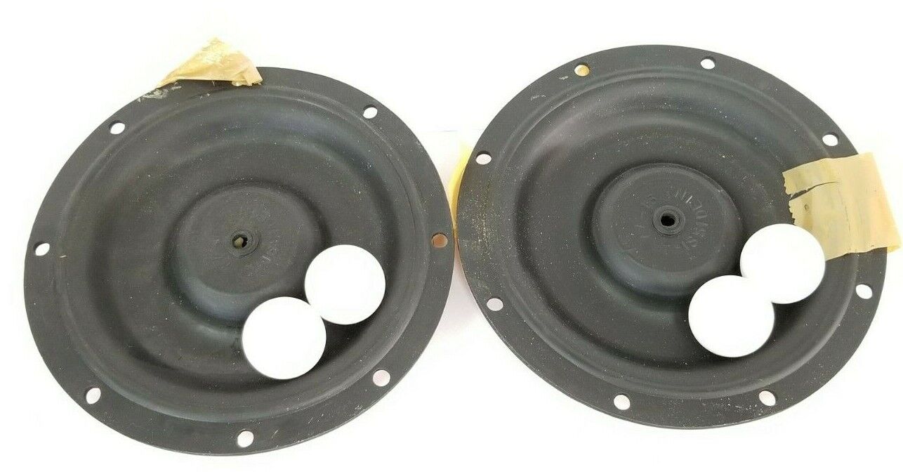 NEW ROPER 10DB10SST PUMP REPAIR KIT 27238 G77-133