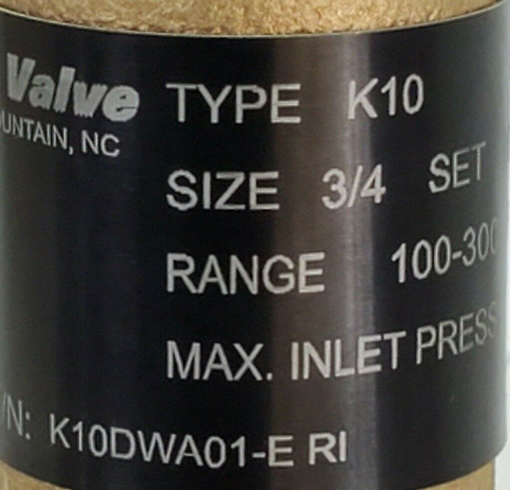 NIB CASH VALVE 3PZE3 BRONZE ADJUSTABLE BACK PRESSURE VALVE