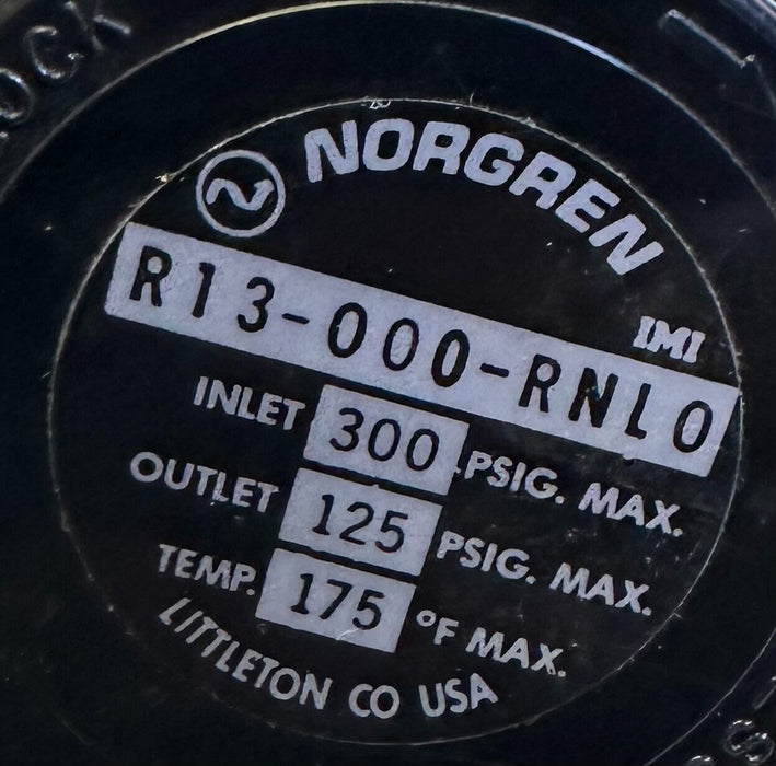 NEW NORGREN R13-000-RNL0 / R13000RNL0 REGULATOR 300PSIG IN 125PSIG OUT 175 DEG