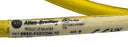 ALLEN BRADLEY 889D-F4ECDM-10 SER B MICRO CABLE FEMALE TO MALE STRAIGHT 4PIN 10M