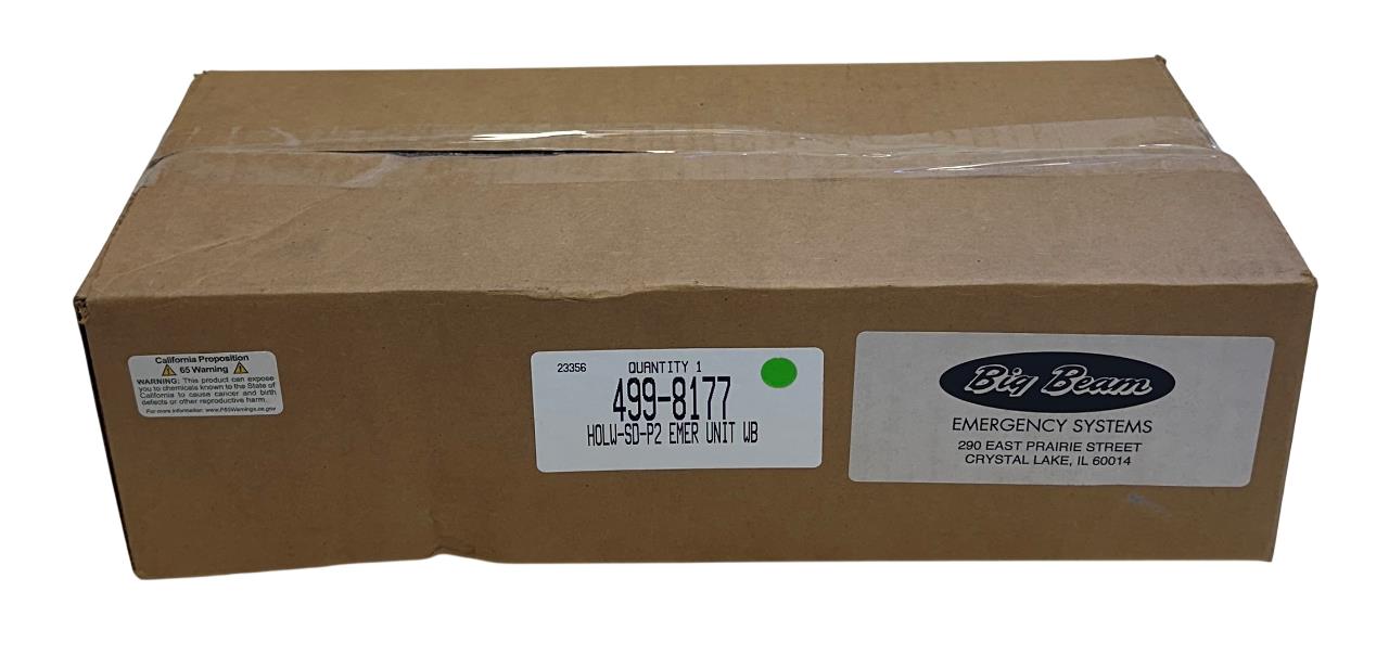 BIG BEAM HOLW-SD-P2 / 499-8177 Commercial Emergency Light Unit 120VAC 1100L NSMP