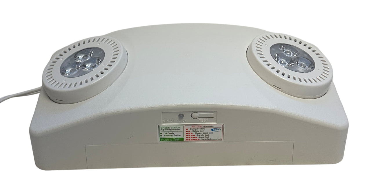 BIG BEAM HOLW-SD-P2 / 499-8177 Commercial Emergency Light Unit 120VAC 1100L NSMP