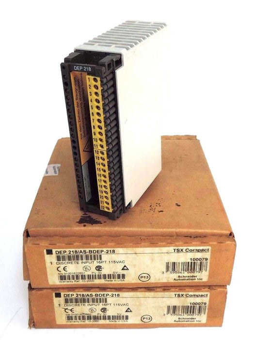 LOT OF 2 NIB SCHNEIDER AUTOMATION DEP 218/AS-BDEP-218 INPUT MODULES 16PT, 115VAC