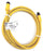 ALLEN BRADLEY 889D-F4WEDM-2 PATCHCORD, DC MICRO, 889DF4WEDM2, SER. A, 250VDC
