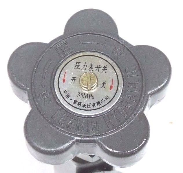 NEW LEEMIN HYDRAULICS 35MPA VALVE 1/4" NPT