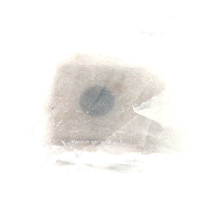 NEW AUTOMATED PACKAGING SYSTEMS 70738A1 LARGE CONVERSION SPACER