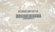 NEW FANUC IC300CBF001A FOX FIBER CABLE PAIR, 1.0M LENGTH IC300CBF001