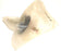 NEW HUMPHREY 2-70A STEM AND DIAPHRAGM KITS (BAG OF 2)