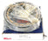 NEW NSK NU217MC3 CYLINDRICAL ROLLER BEARING OUTER RING ASSEMBLY - 304