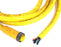 LUMBERG RK-120M-624/12FT CABLE CORDSET 600V