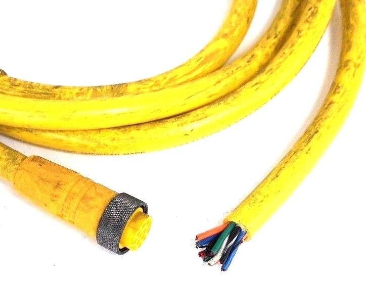 LUMBERG RK-120M-624/12FT CABLE CORDSET 600V