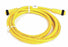 NEW LUMBERG RSRK 301-641/12FT, 3 PT MALE/FEMALE CORDSET, 12 FT LONG