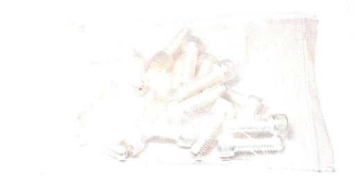 BAG OF 20 NEW REDIVAC C-1816-A VENTED SILVER PLATED SCREWS 5/16-18X1"