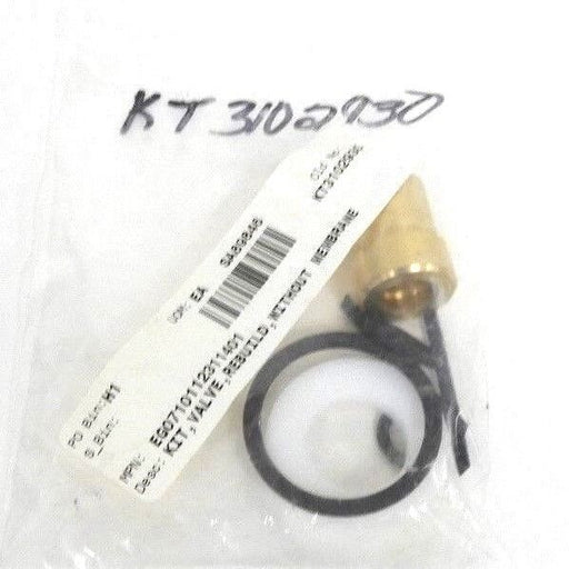 NEW GENERIC EG0710112311401 REBUILD VALVE KIT OLD NO. KT3102930