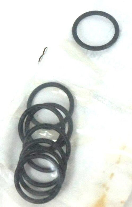 LOT OF 8 NEW BARDIANI VALVOLE E1002187 O-RINGS RAAGA3087