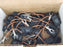 LOT OF 27 NEW SOUTH-LAND E43 CARBON BRUSHES 845F2-3010-212