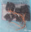 BAG OF 10 NEW HELWIG CARBON PART NO: 259 CARBON BRUSHES 3/8X1X1-1/2