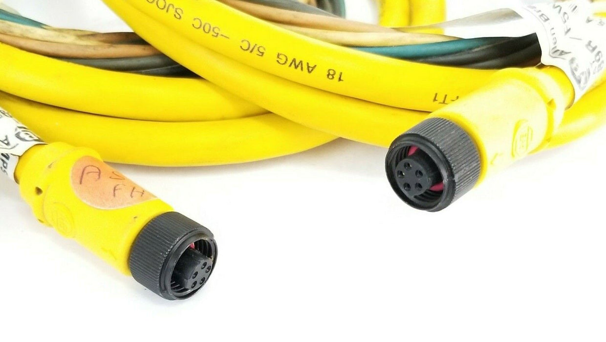 LOT OF 2 ALLEN BRADLEY 889R-F5WERM-20F PATCHCORDS SER. A 4A 250V 889RF5WERM20F
