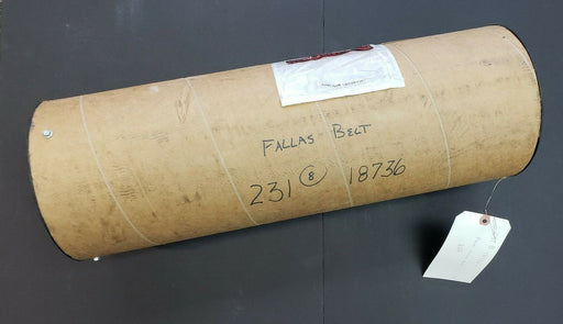 NEW FALLAS INTRALOX 12141055 CONVEYOR BELT, 231 8 18736, SERIES 1100, 21" X 10'