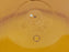 NEW TRI-LITE MV-561 AMBER LIGHT COVER MV-561-A MV561