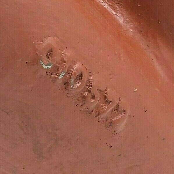 DYNAMIC AIR / JUDY MACH 010572 3 INCH 3-WAY "Y" VALVE 1010572