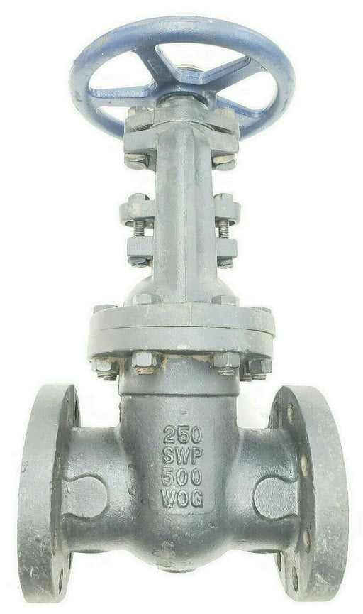 NIBCO F-667-0 IBBM 3" GATE VALVE 250 SWP 500 WOG 40155 F6670