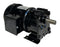 BISON 016-246-6058 / 0162466058 SERIES 246 AC GEARMOTOR 1/6HP 58.3:1 RATIO NSNP