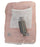 NEW IFM IIK3010-BPKG/K1/V4A/US-104 INDUCTIVE SENSOR IIC218