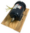 Dayton 3KW97A Industrial Motor 2 HP 1735 RPM 3-Phase 208-230/460V TEFC