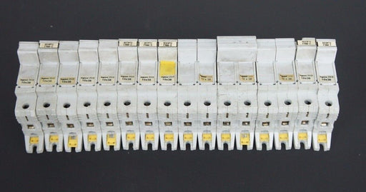 LOT OF 16 PASS & SEYMOUR LEGRAND SP 38 600V 25 AMP FUSE BLOCK DIN SP-38 SP38