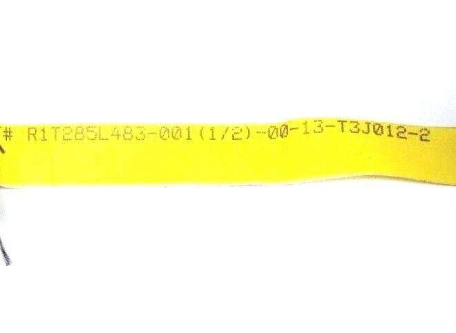 NEW FANCHER & ASSOCIATES R1T285L483-001 (1/2)-00-13-T3J012-2 RTD DUAL ELEMENT