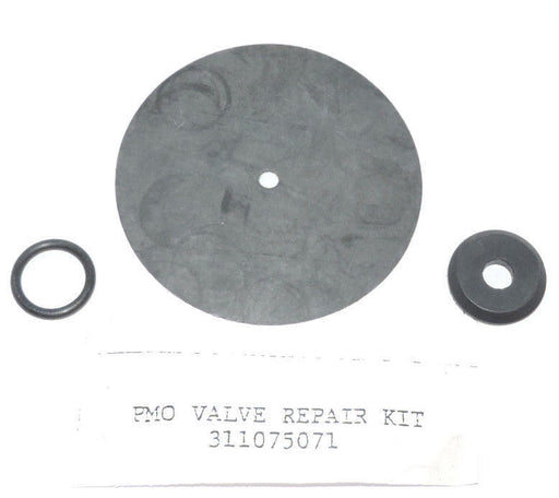 NEW 311075071 PMO VALVE REPAIR KIT, OD: 3-1/8"
