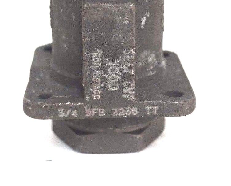 NEW NELES JAMESBURY 9FB-2236TT BALL VALVE 3/4" NPT 9FB2236TT