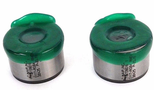 NEW AIP INC 739016 PUNCH 0117-RG84 RND 38x25 P-20.19 - LOT OF 2