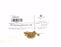 BAG OF 17 NEW MARKEM IMAJE 8460107 PRINTING TYPE 125: 12/3.2MM NG RAD C= 0.166