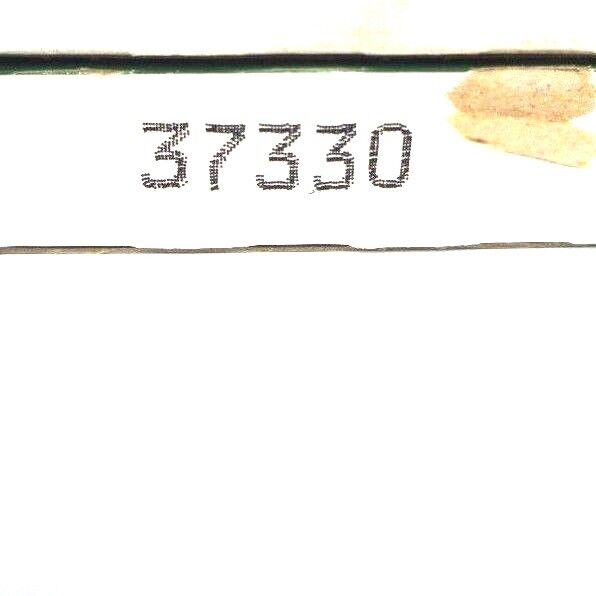 LOT OF 2 NIB CHICAGO RAWHIDE 37330 OIL SEALS 3.7500" X 4.5010" X 0.4690"